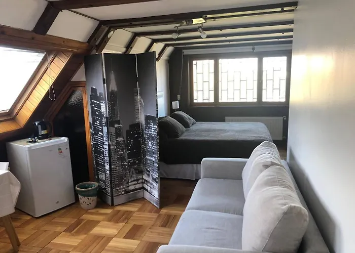 Gran Habitacion Con Bano Privado Y Vista A La Montana, Cerca De Clinica Alemana